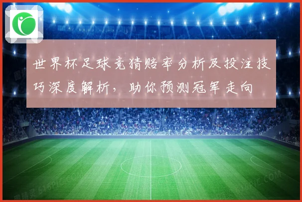 世界杯足球竞猜赔率分析及投注技巧深度解析，助你预测冠军走向
