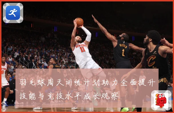 羽毛球周天训练计划助力全面提升技能与竞技水平成长观察
