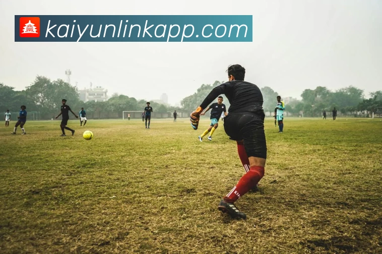 开云平台展示图